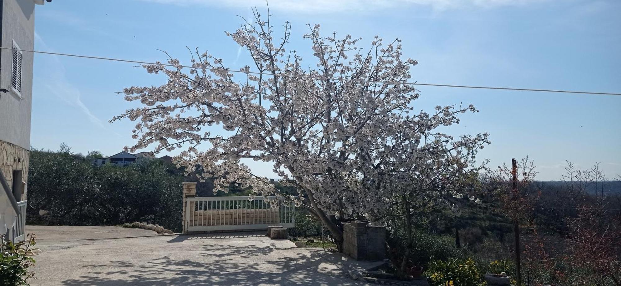 Apartman Tina Ražanac 외부 사진